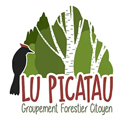 Lu Picatau , Groupement Forestier Citoyen